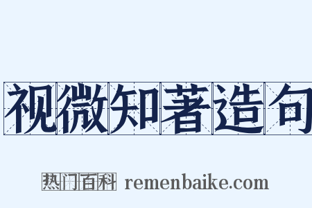 视微知著造句是什么意思的图片